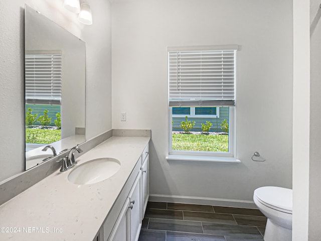 bathroom with toilet and vanity