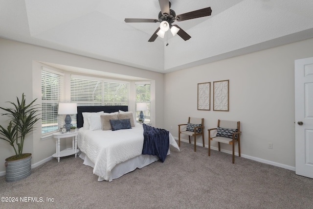 bedroom featuring a raised ceiling, ceiling fan, and carpet floors