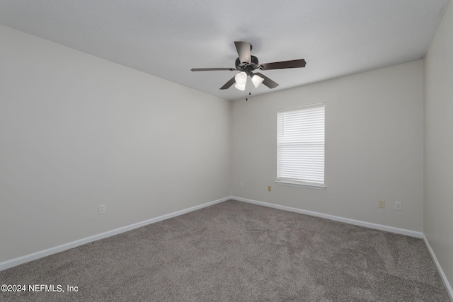 spare room featuring carpet floors