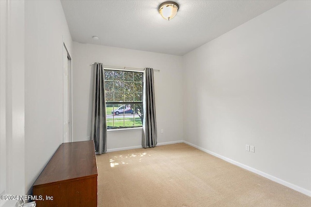 spare room with light colored carpet