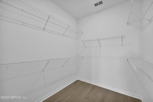 spacious closet with wood-type flooring