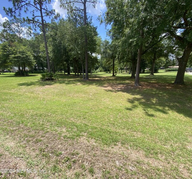 Listing photo 3 for 0 Cottonwood Ct, Middleburg FL 32068