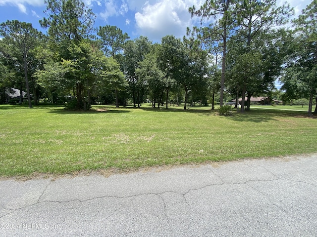 0 Cottonwood Ct, Middleburg FL, 32068 land for sale