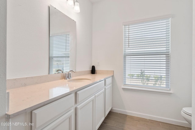 bathroom with toilet and vanity