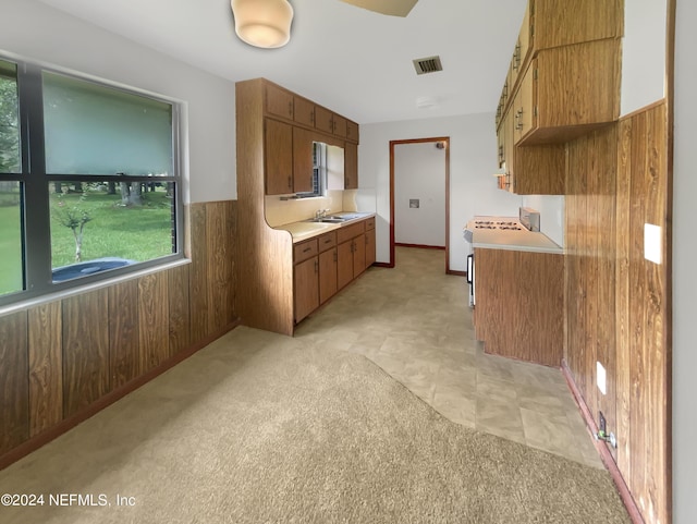 kitchen with wood walls, stove, light colored carpet, and sink