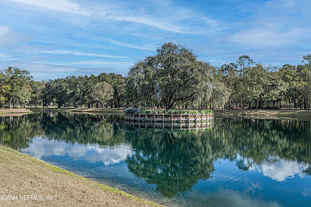 view of water feature