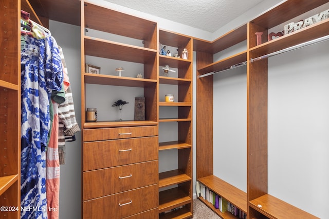 view of walk in closet