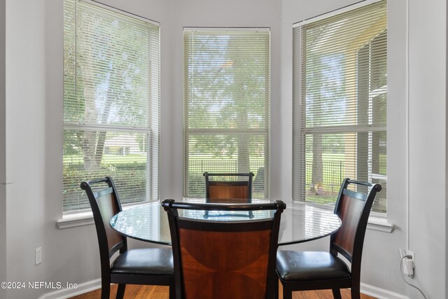 dining area featuring plenty of natural light