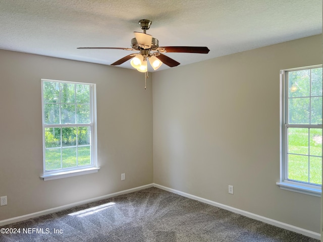 unfurnished room featuring a wealth of natural light, carpet, and a textured ceiling