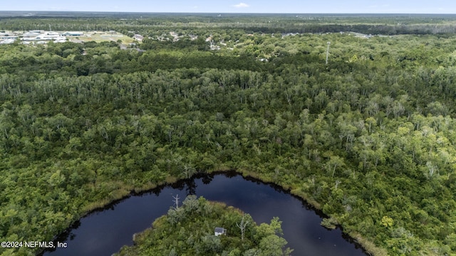 birds eye view of property with a water view and a forest view