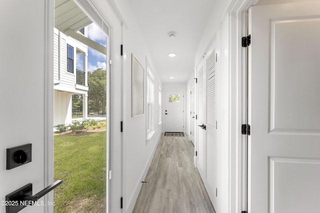 hall featuring a wealth of natural light and light wood-type flooring