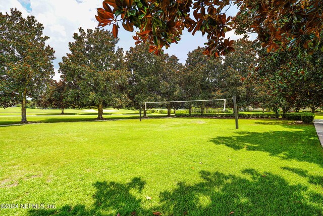 view of yard with volleyball court