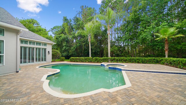 view of swimming pool with an in ground hot tub and a patio