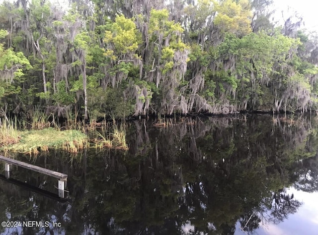 view of nature with a water view