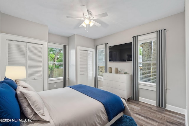 bedroom featuring multiple windows, wood finished floors, two closets, and baseboards