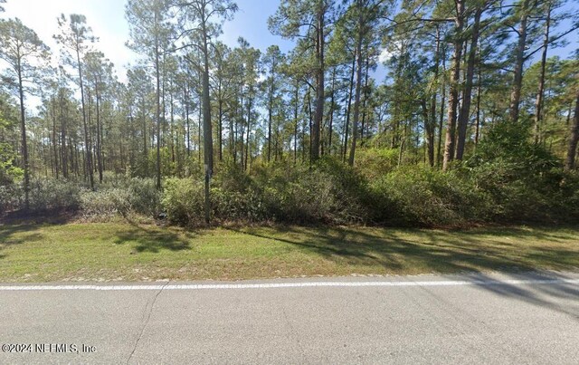 207 Georgetown Denver Rd, Georgetown FL, 32139 land for sale