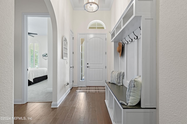 mudroom featuring dark carpet and crown molding