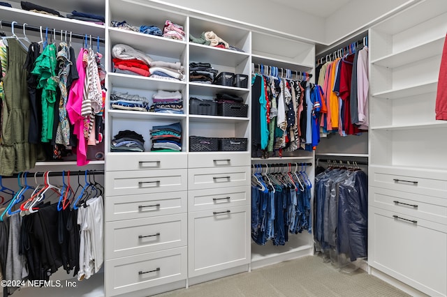 spacious closet featuring light colored carpet