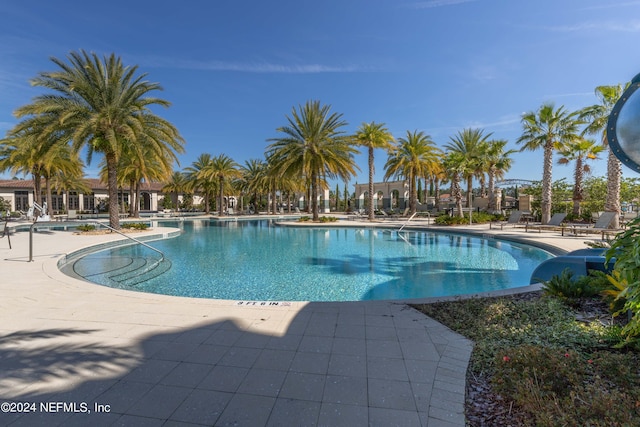 view of pool with a patio area