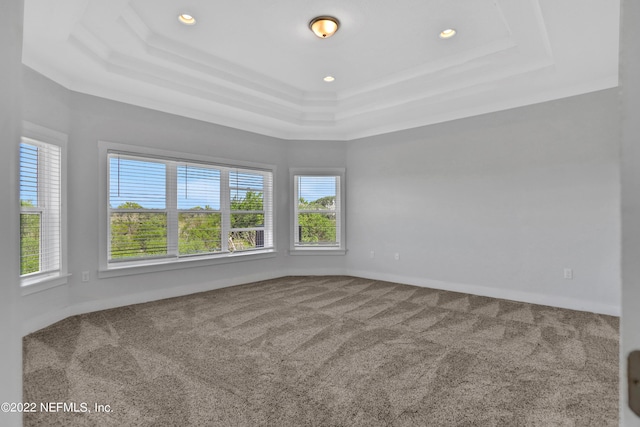 empty room featuring a tray ceiling and carpet flooring