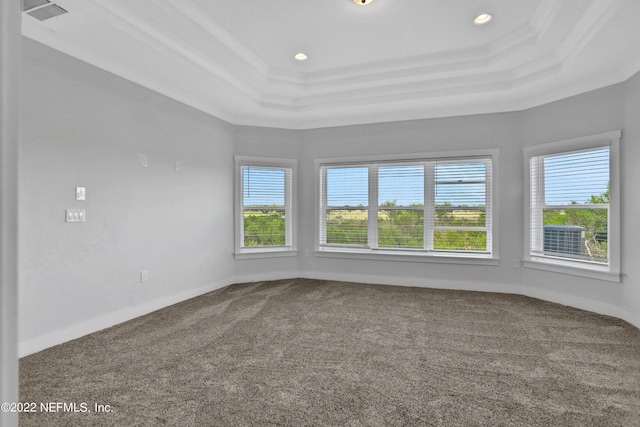 carpeted empty room with plenty of natural light and a tray ceiling