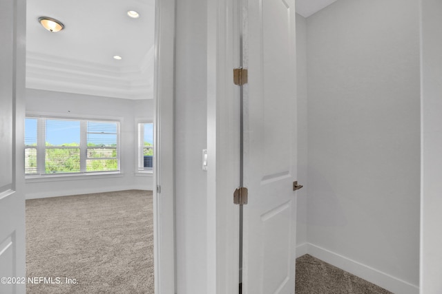 hallway with carpet floors and a raised ceiling