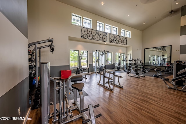 workout area featuring a towering ceiling and hardwood / wood-style floors