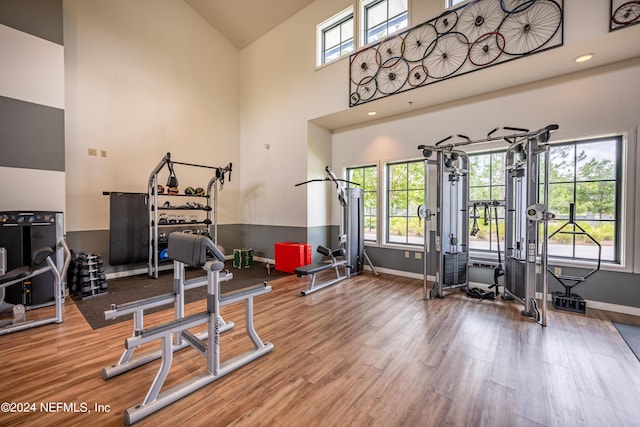 gym with a wealth of natural light, wood-type flooring, and high vaulted ceiling