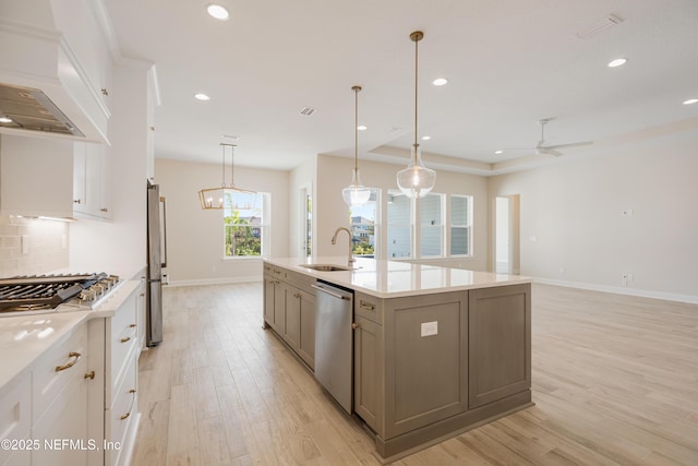 kitchen with decorative backsplash, appliances with stainless steel finishes, a sink, light wood-type flooring, and premium range hood