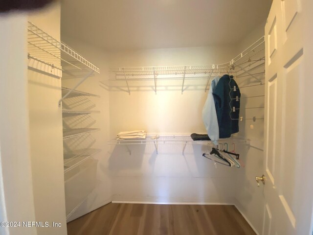 walk in closet with hardwood / wood-style flooring