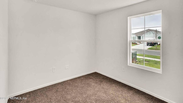 spare room featuring carpet flooring and plenty of natural light