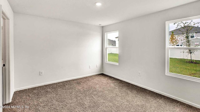 spare room with plenty of natural light and carpet floors