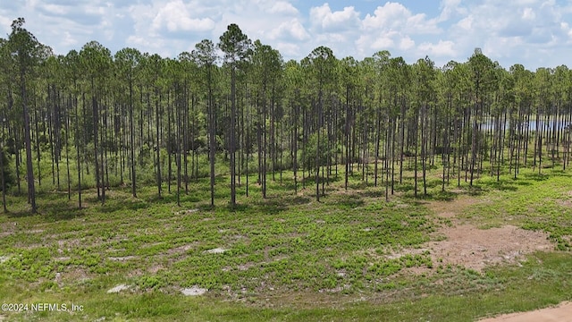 LOT3 US Highway 301, Bryceville, FL 32009 - photo 5