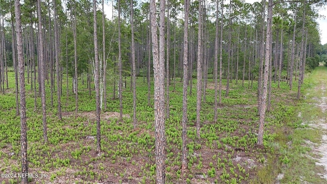 LOT3 US Highway 301, Bryceville, FL 32009 - photo 6