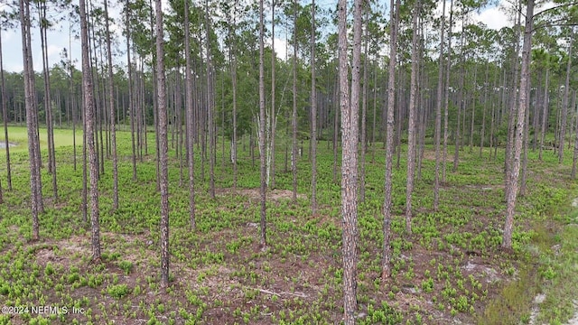 LOT3 US Highway 301, Bryceville, FL 32009 - photo 7
