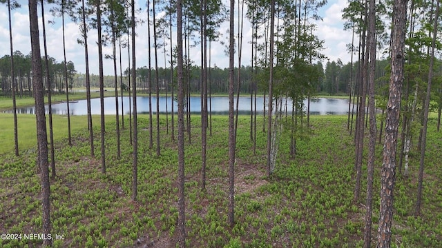 LOT3 US Highway 301, Bryceville, FL 32009 - photo 3