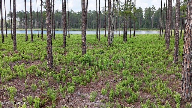 LOT3 US Highway 301, Bryceville, FL 32009 - photo 8