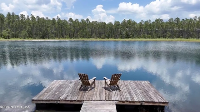 LOT3 US Highway 301, Bryceville, FL 32009 - photo 2
