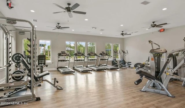 workout area featuring light hardwood / wood-style flooring