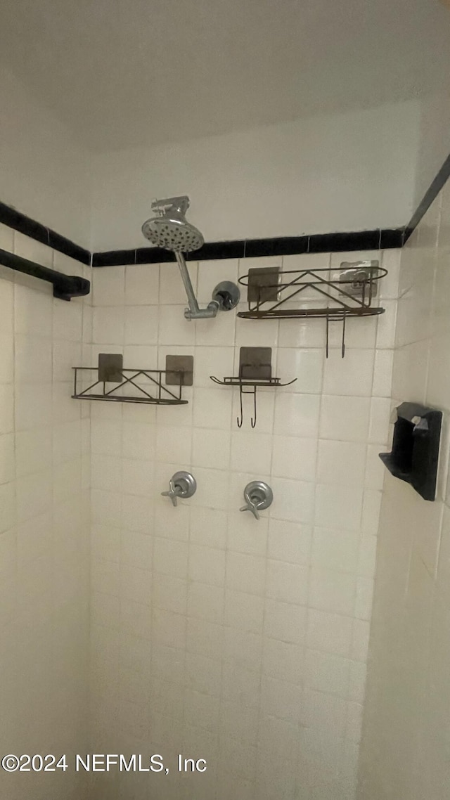 room details with tiled shower