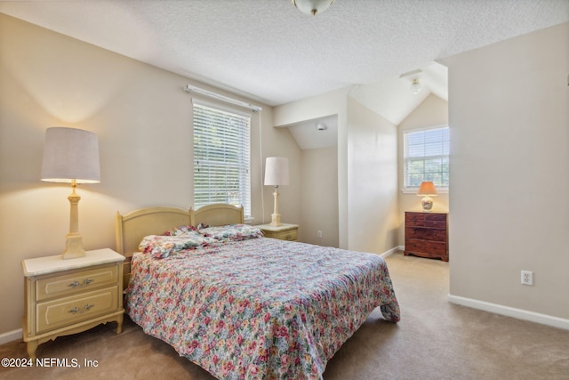 bedroom featuring multiple windows, light carpet, and a textured ceiling