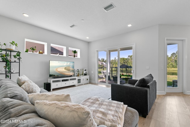 living room featuring light hardwood / wood-style flooring and a healthy amount of sunlight