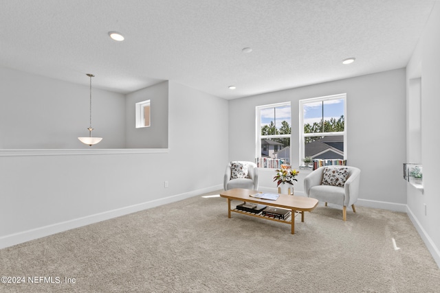 living area with carpet and a textured ceiling