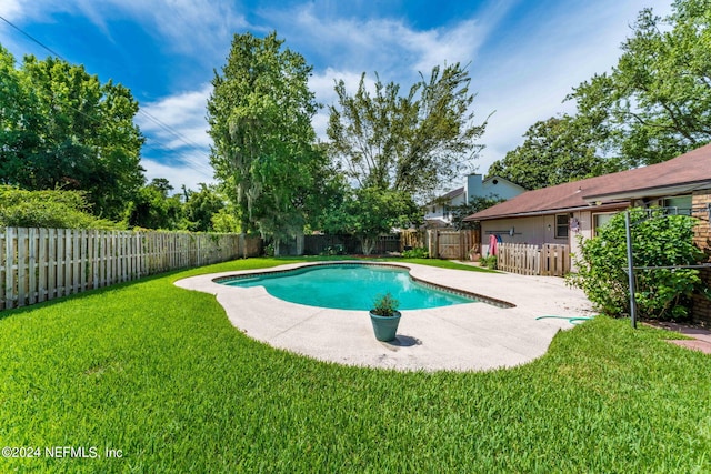 view of pool featuring a yard and a patio area