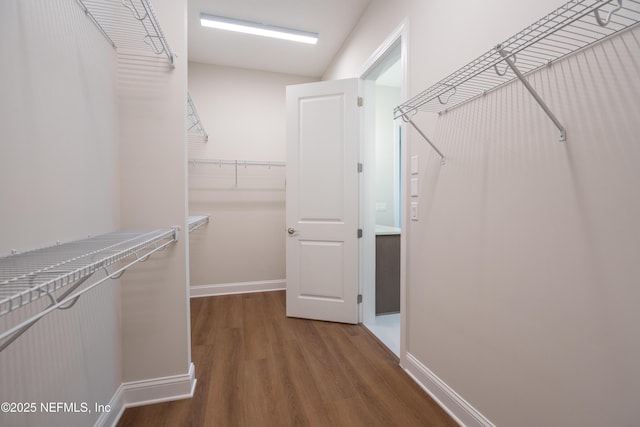 spacious closet with dark wood finished floors