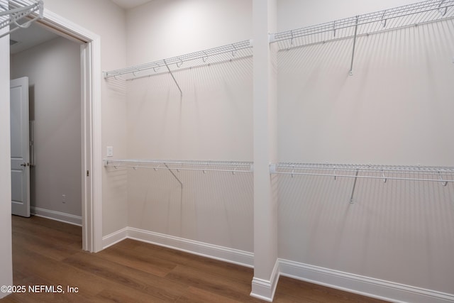 walk in closet with wood finished floors