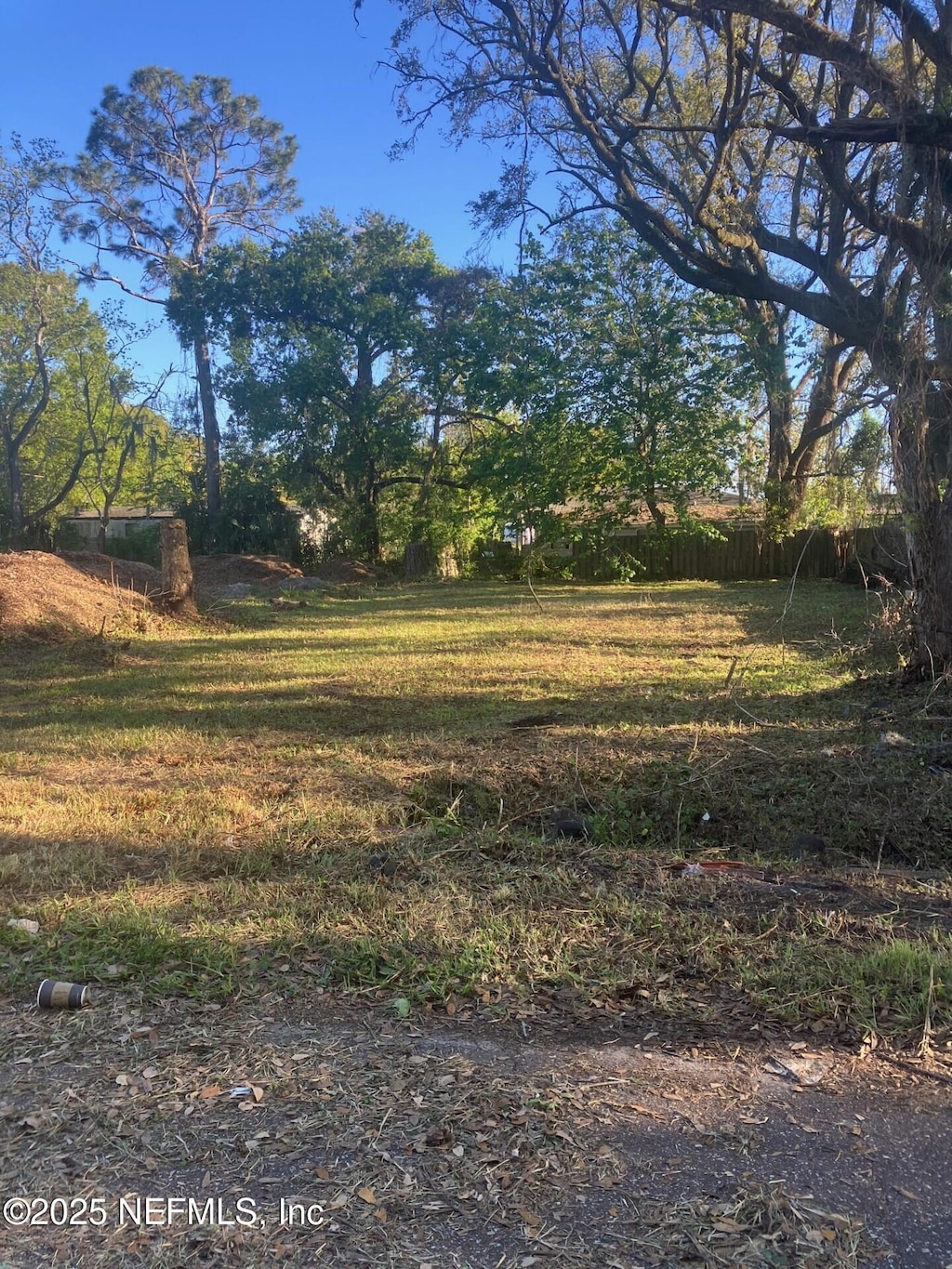 0 Arnold Ave, Jacksonville, FL 32254 - photo 1
