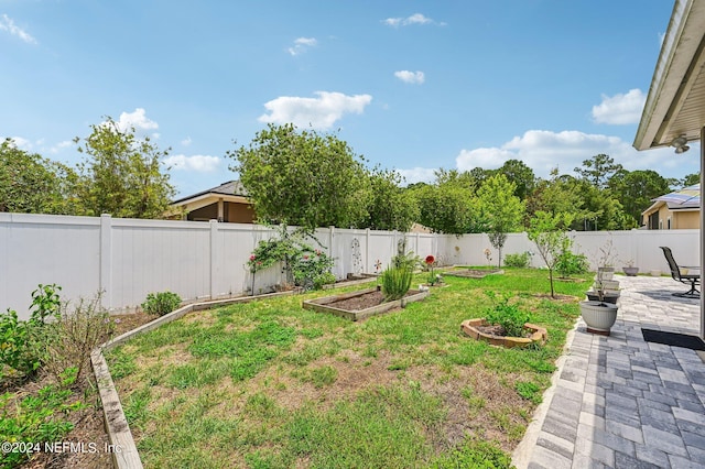 view of yard featuring a patio area