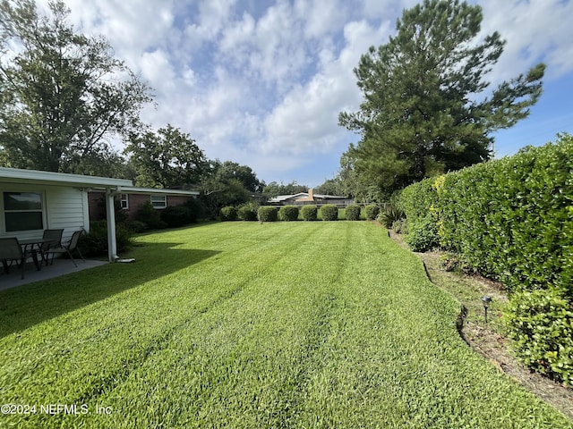 view of yard featuring a patio