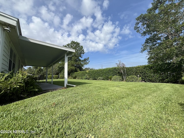 view of yard with a patio area